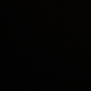 Meet your Posher, Quincy